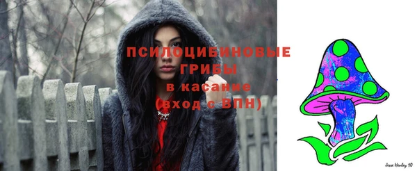 крисы Армянск