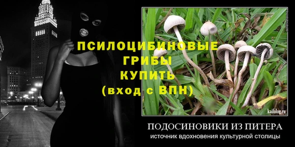 крисы Армянск