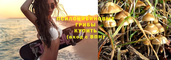крисы Армянск