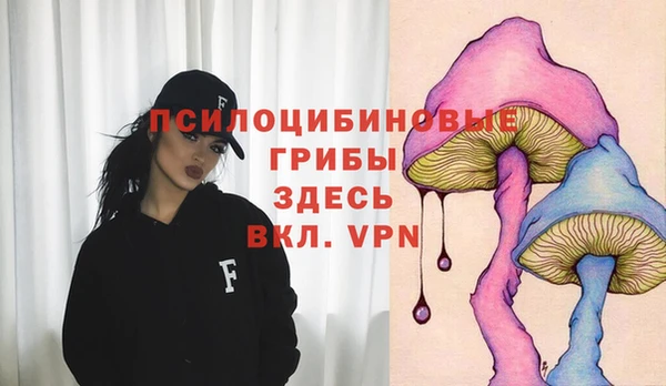 Альфа ПВП Аркадак