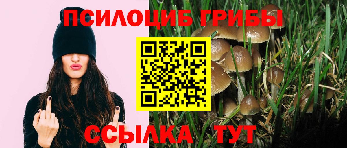 Белая Калитва  Галлюциногенные грибы мицелий  Вход с VPN  Псилоцибиновые грибы Cubensis 