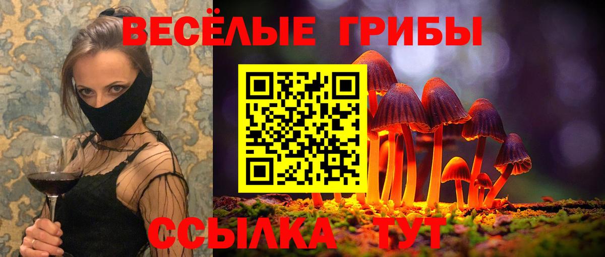 Псилоцибиновые грибы Psilocybe Белая Калитва